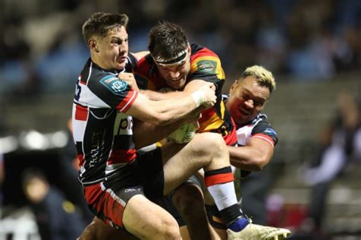 Mitchell Jacobson Net Worth | Celebrity Net Worth