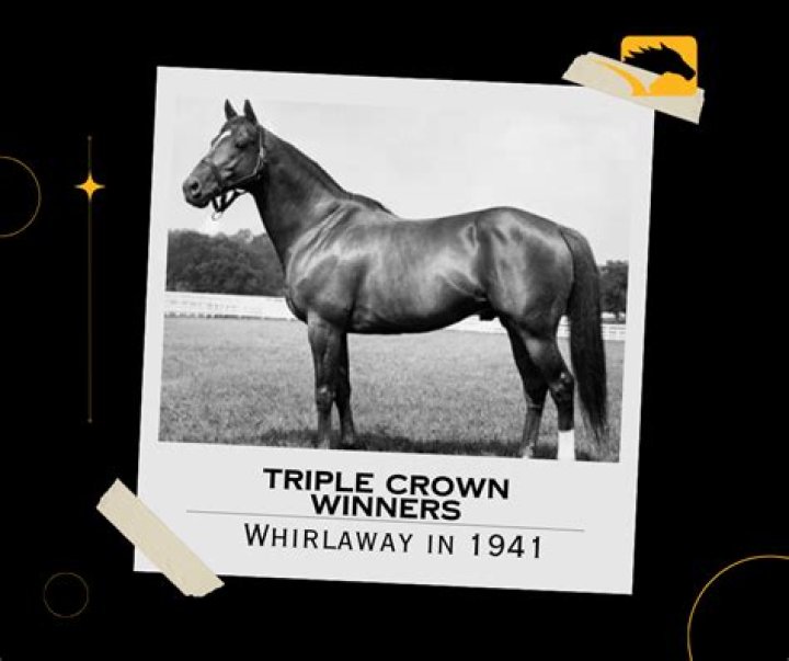 How Much Would You Pay To Own A Potential Triple Crown Winner?