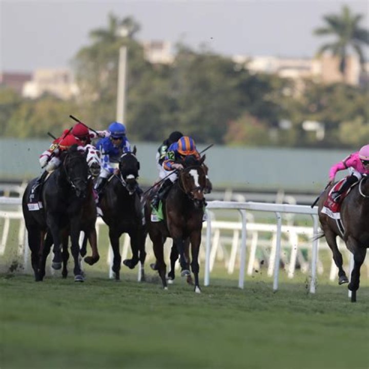 How One Lucky Man Turned A 50 Cent Bet Into Almost $500K At The Horse Track