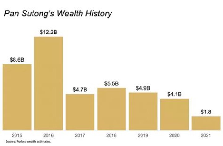 Pan Sutong Net Worth | Celebrity Net Worth