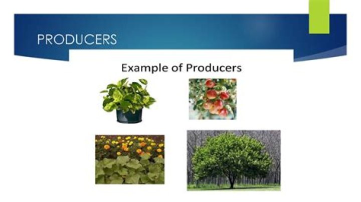 Producers | Celebrity Net Worth