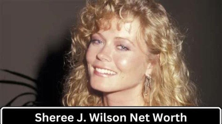 Sheree J. Wilson Net Worth