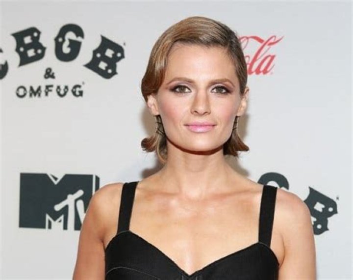 Stana Katic Net Worth | Celebrity Net Worth