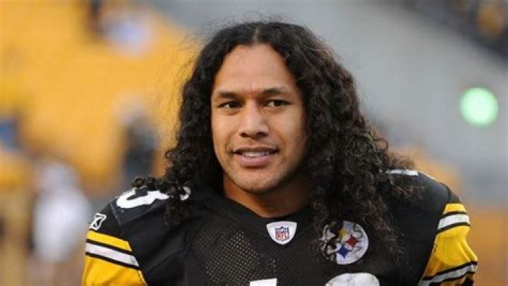 Troy Polamalu Net Worth | Celebrity Net Worth