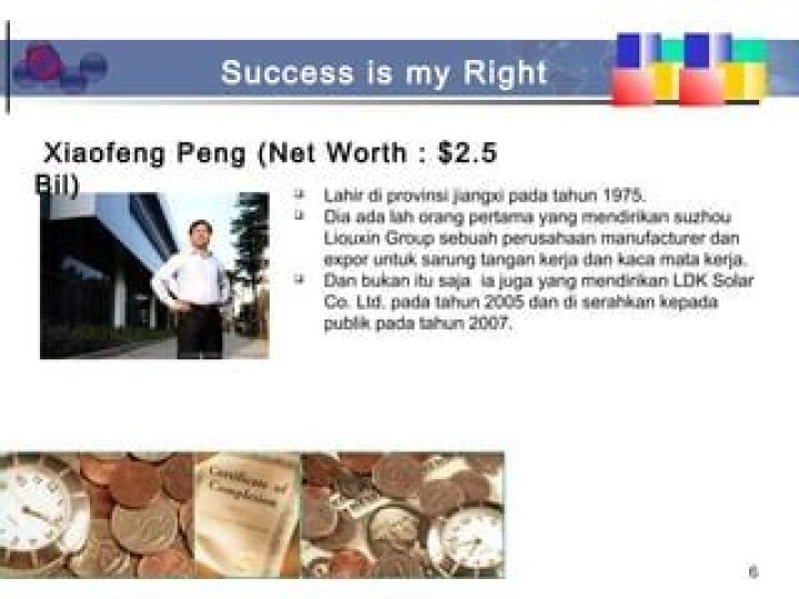 Xiaofeng Peng Net Worth | Celebrity Net Worth